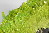 Apple-Green Pyromorphite Crystal Cluster - China #179826-2